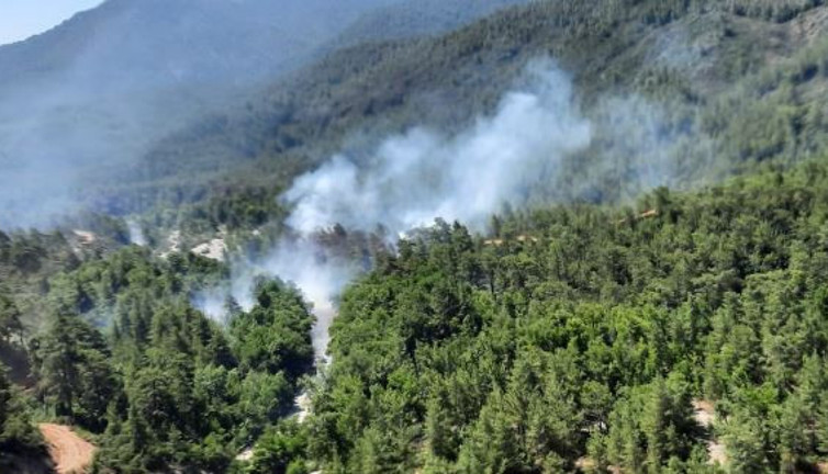 Muğla'da orman yangını (14 Temmuz 2023)