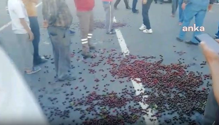 Kiraz üreticileri satamadıkları kirazı yola döktü