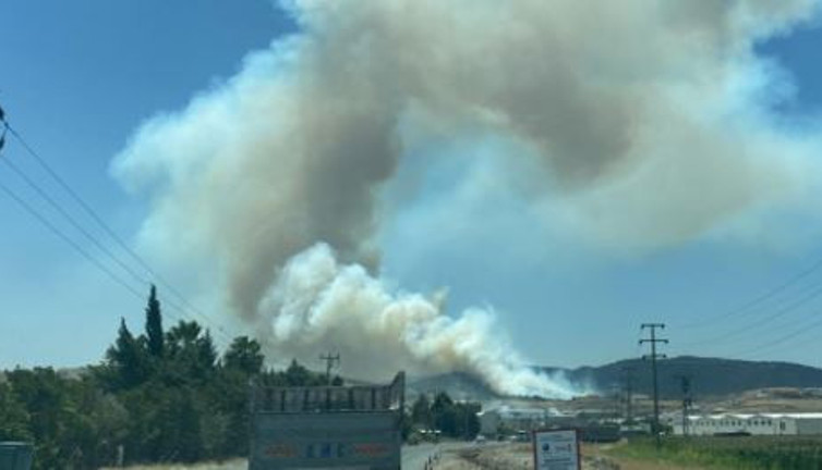 Kahramanmaraş'ta orman yangını (15 Temmuz 2023)