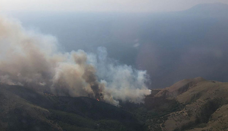 Gökçeada'daki orman yangını 16 saat sonra kontrol altına alındı