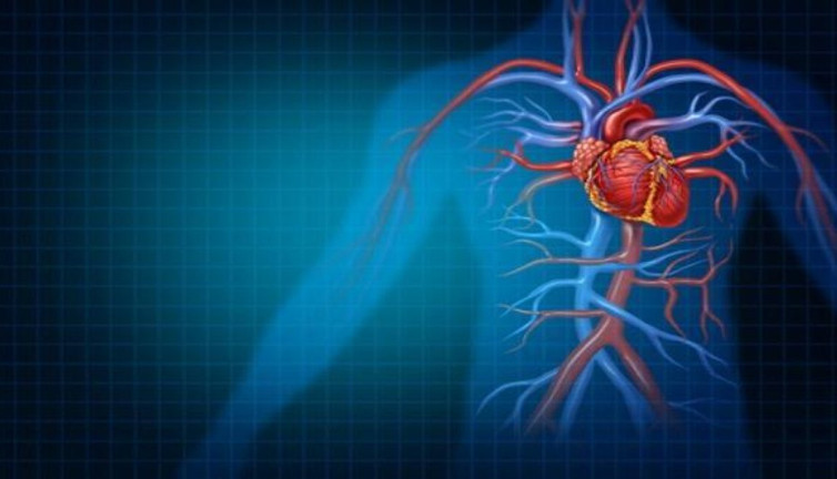 Ani ölüm nasıl neden olur