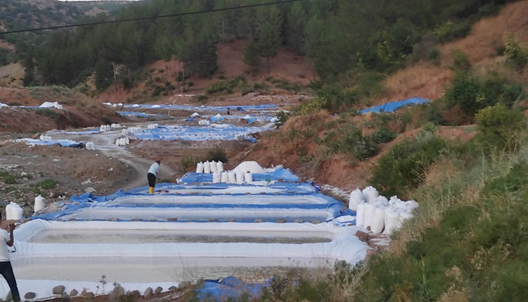 Dağdan akıyor aileler 90 günde 150 bin TL kazanıyor. Dedelerinden miras kaldı