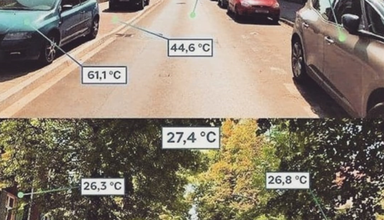 Ağaç düşmanı vatan hainleri bakın ağaçlar ne işe yarıyor