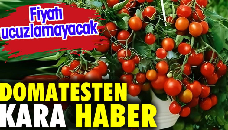 Domatesten kara haber. Fiyatı ucuzlamayacak