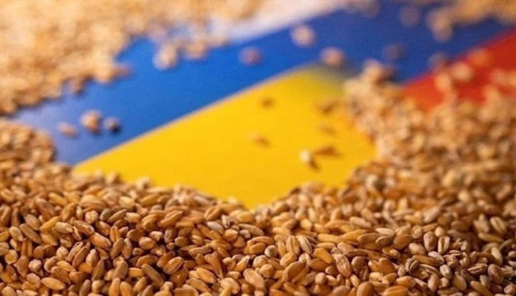 Rusya tahıl anlaşması için 7 şartını tek tek sıraladı