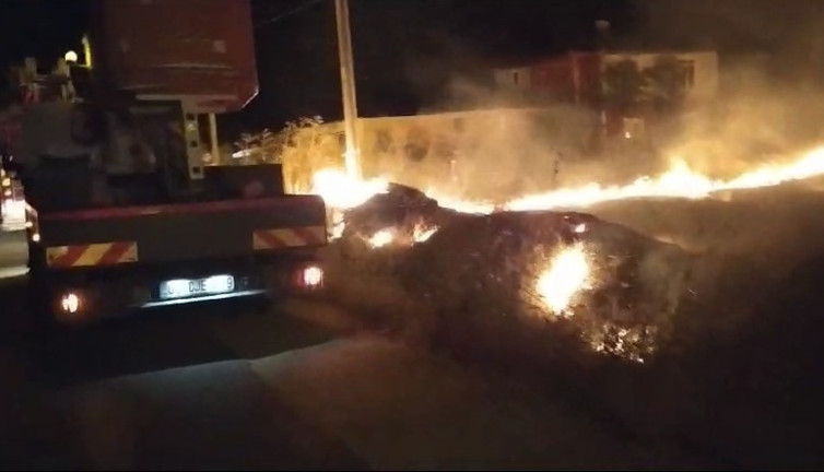 Tutuşan otlar ormanı yaktı