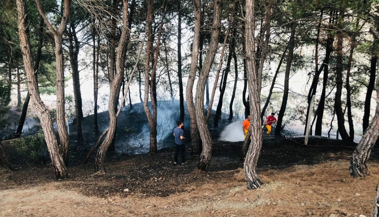 Yangın söndürüldü, vatandaş piknikçilere tepki gösterdi