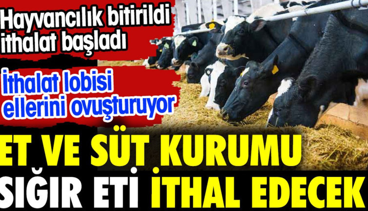 Et ve Süt Kurumu sığır eti ithal edecek. Hayvancılık bitirildi ithalat başladı