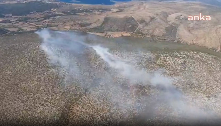 Türkiye'nin ciğerleri kavruluyor. Çeşme'deki ormanlık alanda başlayan yangın kontrol altına alındı