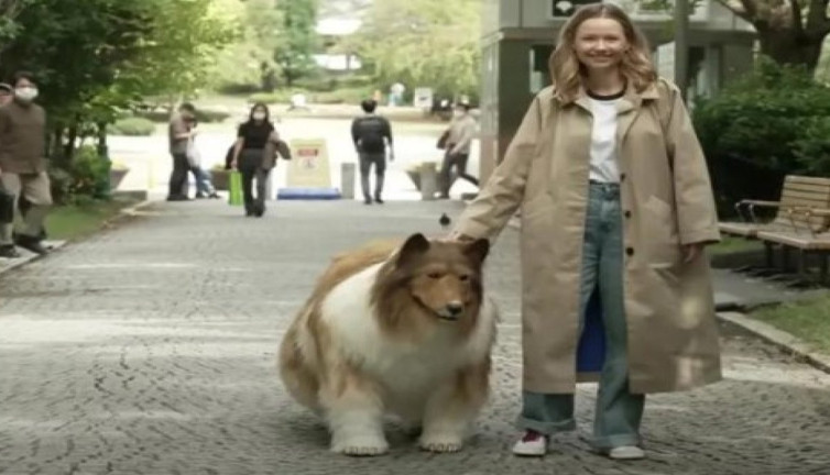 Paranın köpeği olmadı, parasını verip köpek oldu