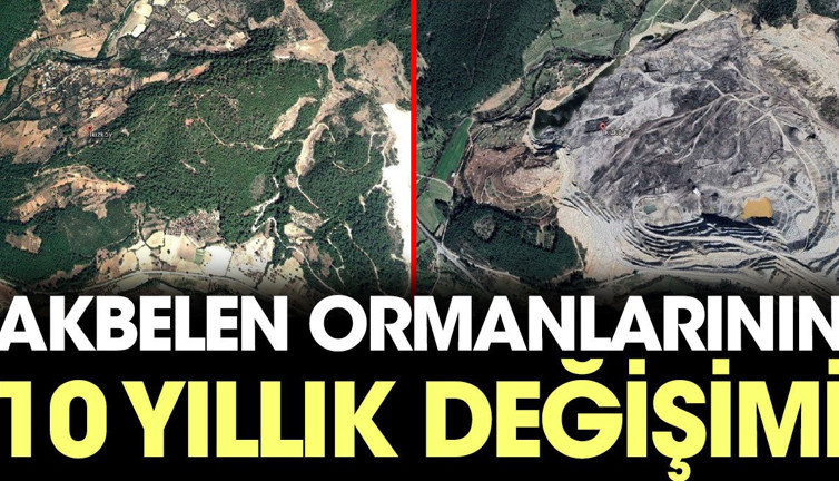 Akbelen Ormanları'nın 10 yıllık değişim uydudan böyle görüntülendi
