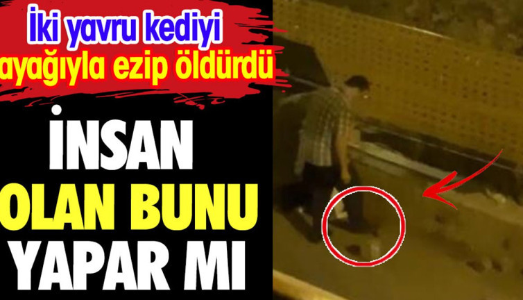 İnsan olan bunu yapar mı? İki yavru kediyi ayağıyla ezip öldürdü