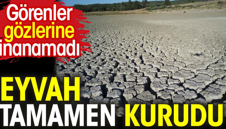 Eyvah tamamen kurudu. Görenler gözlerine inanamadı