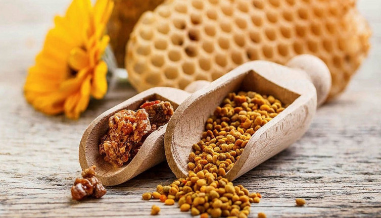 Propolis nedir? Propolis faydaları nelerdir?