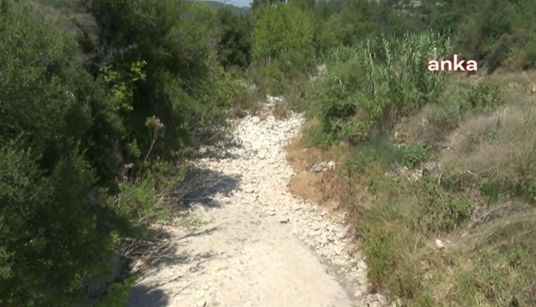 Bodrum’un su kaynağını maden için yok ediyorlar. Çevre katliamında sınır tanımıyorlar