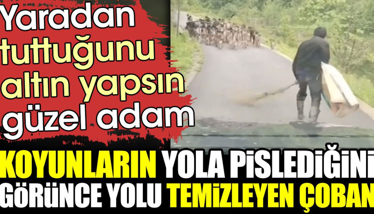Kuzuların yola pislediğini görünce yolu temizleyen çoban