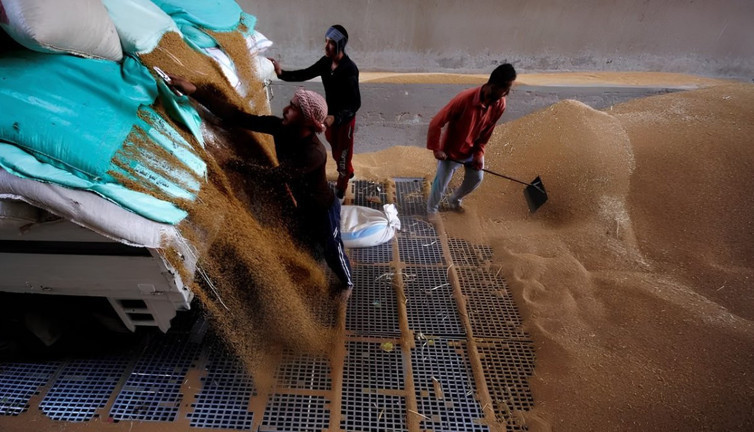 Mısır'ın buğday ithalatına BAE'den 500 milyon dolar fon desteği