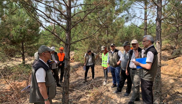 Domaniç ormanlarında tatbikat