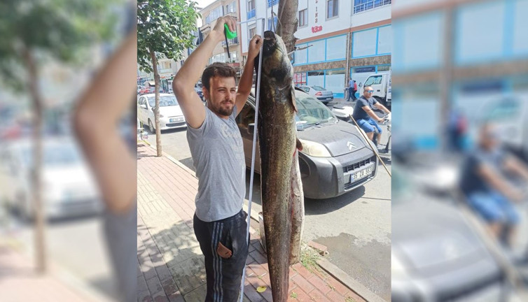 Görenler ‘Maşaallah’ dedi. 2 metrelik dev yayın balığı yakalandı