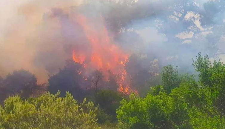 Dedeağaç'taki orman yangıyla ilgili acil durum ilan edildi