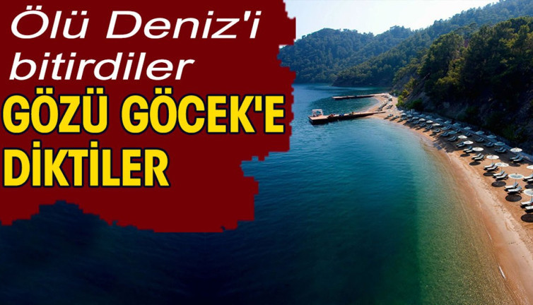 Ölü Deniz'i bitirdiler gözü Göcek'e diktiler