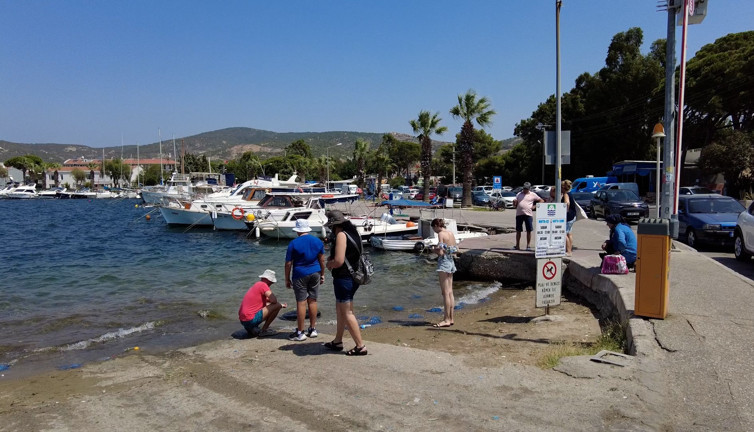 Kimse ayağını denize bile sokamadı. İzmir Foça'da büyük korku. Plajlar bile boş kaldı