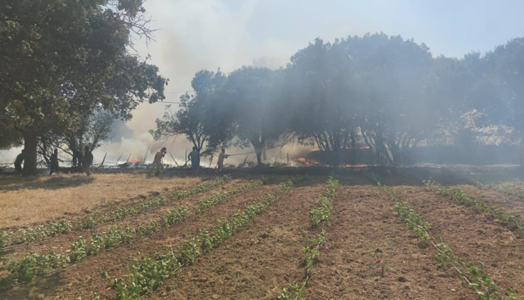 Ayvacık'ta çıkan yangın kontrol altına alındı