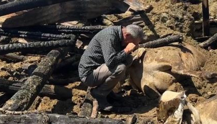 Köylü tüm birikimini bir gecede kaybetti. Gözyaşları yürek parçaladı.