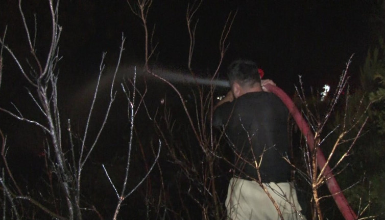 Pendik’te ormanlık alanda yangın