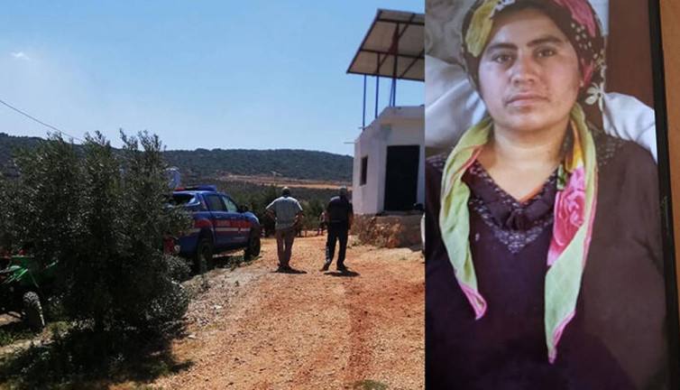 Bir haftadır aranıyordu zeytinlikte ölü bulundu