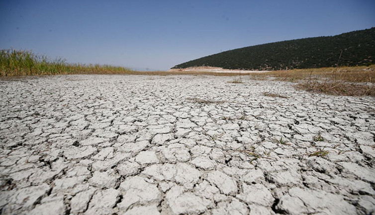 Kuruyan Avlan Gölü otlak oldu. Türkiye'nin gölleri birer birer kuruyor