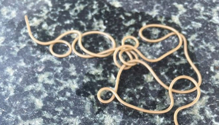 Köylü çeşmeye su içmeye gidince gördü. Ne başı belli ne sonu