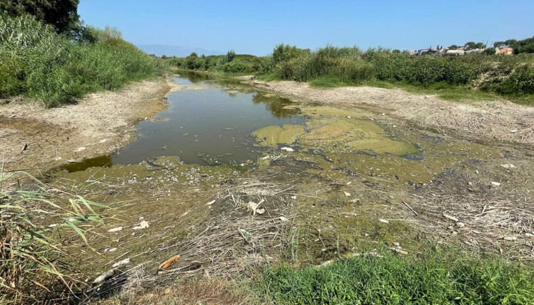 Türkiye’nin can suyu Büyük Menderes'te korkutan manzara: Sular çekilince ortaya çıktı