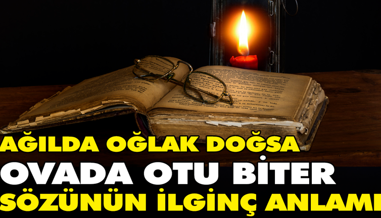 Ağılda oğlak doğsa ovada otu biter sözünün ilginç anlamı