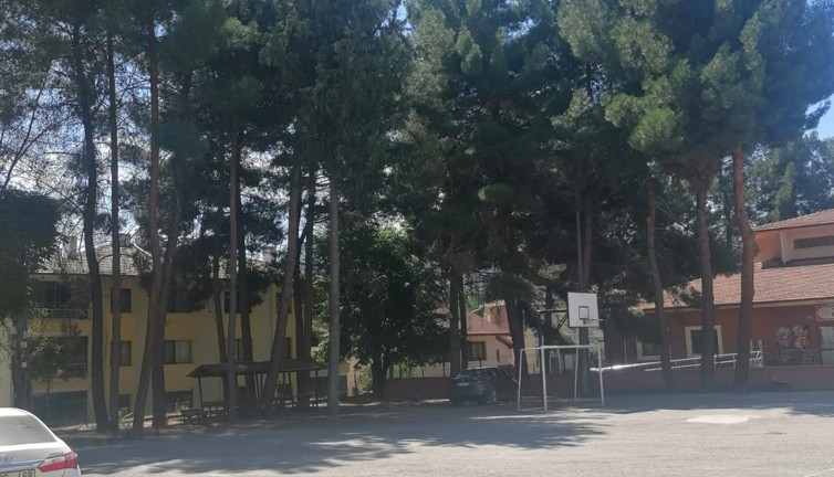 İlkokul bahçesindeki ağaçlar çocukları bahane ederek kesilecek