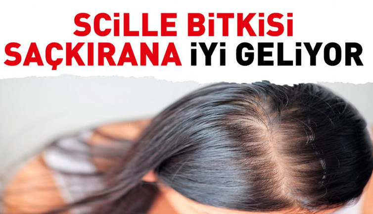 Saçkırana iyi gelen bitki