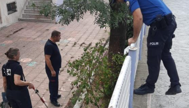 Okul bahçesindeki yılan paniğe neden oldu