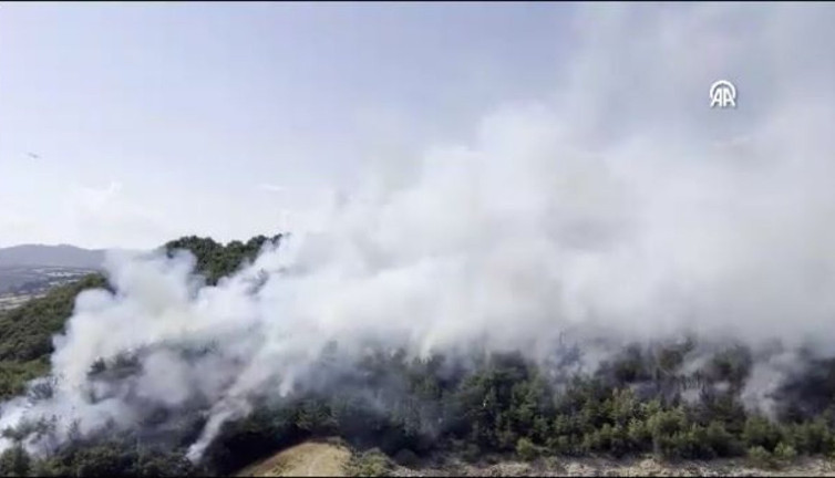 Çanakkale'de orman yangını (30 Ağustos 2023)