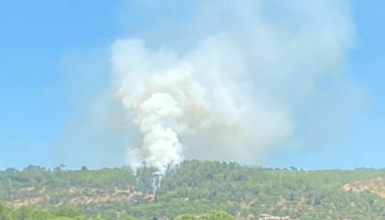 Muğla'da orman yangını: 1 hektar alan zarar gördü