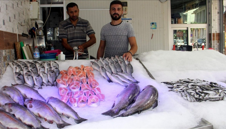 Balıkçılar sezonun ilk avından eli boş döndü