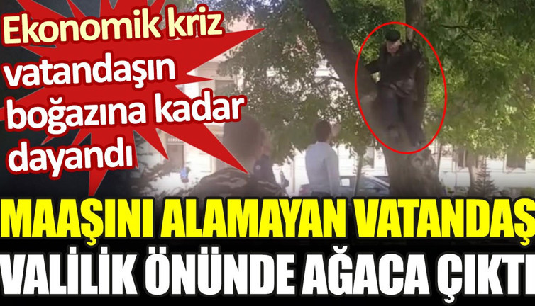 Maaşını alamayan vatandaş valilik önünde ağaca çıktı