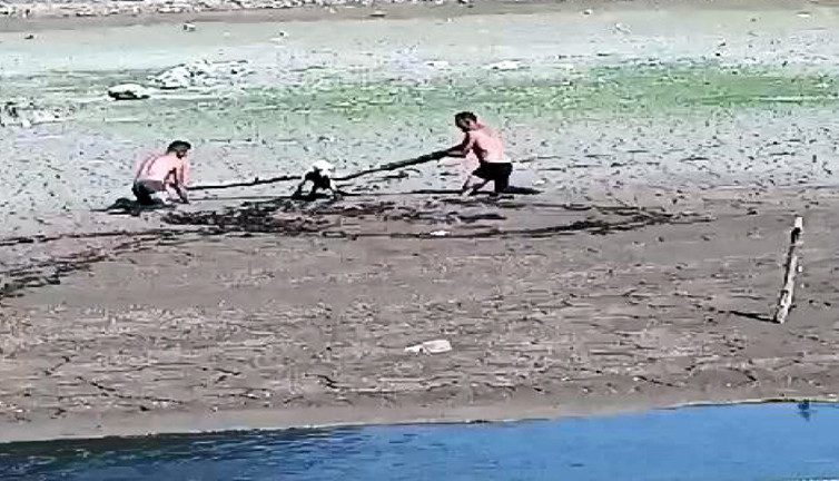 Bataklığa saplanan köpeği böyle kurtardılar. Bu 'İyi insanlar iyi ki varlar' haberidir
