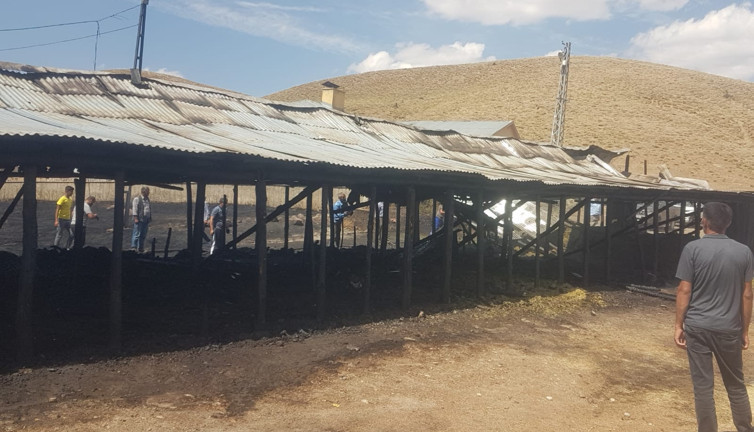 Bingöl'de bir ahırda çıkan yangında 22 hayvan telef oldu