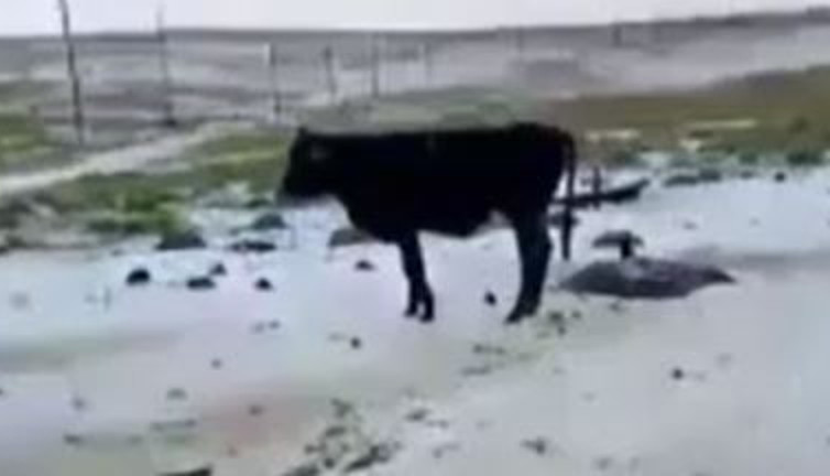 Eylül ayında dolu yağdı