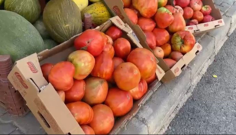 Çiftçe ata tohumundan yetiştirdi. Tartıya bakan dondu kaldı