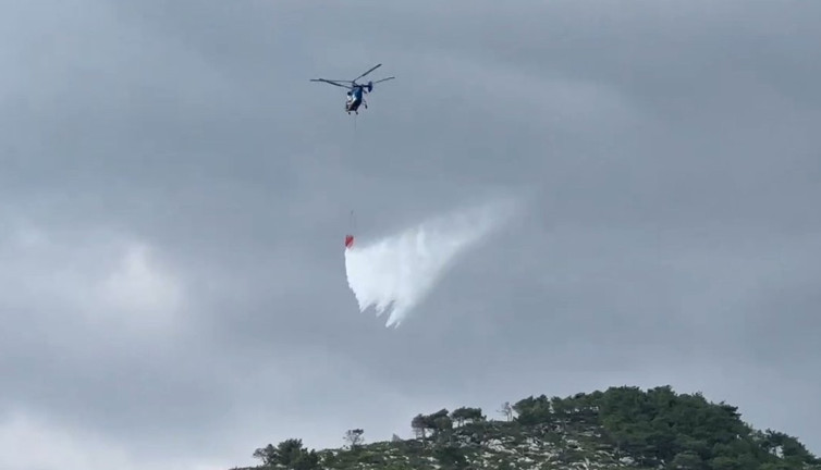 Samandağ'da çıkan orman yangını kontrol altına alındı