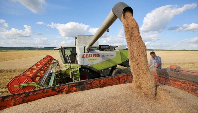 Ulusal Hububat Konseyi'nden buğday rekoltesi açıklaması