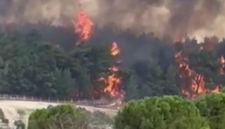 İzmir’deki orman yangını kontrol altında