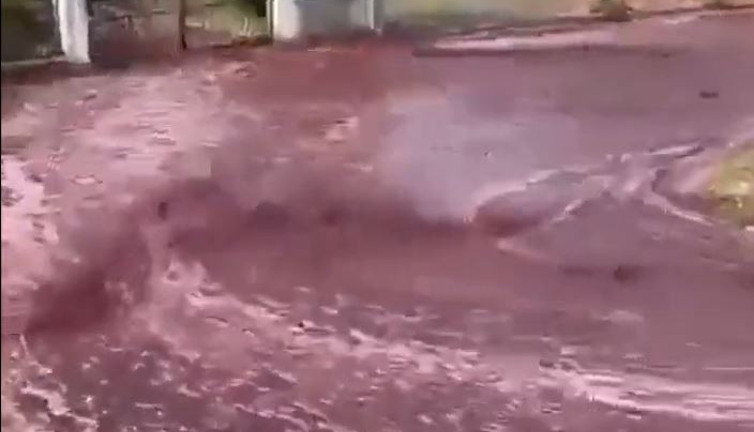 2 milyon litre şarap sokaklarda nehir gibi aktı. Akşamcılar görüntüleri yutkunarak seyretti