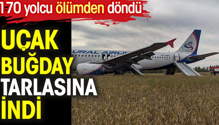 Uçak buğday tarlasına indi. 170 yolcu ölümden döndü
